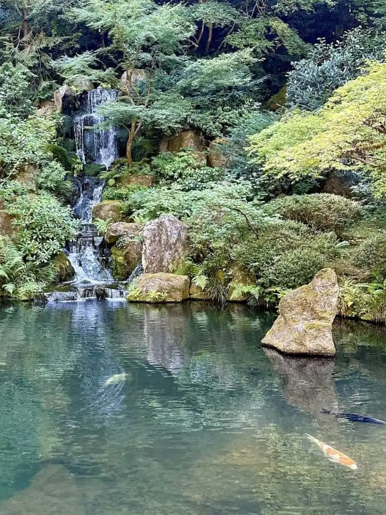 20 Cool Things to do in Portland with Kids 6 POrtland Japanese Garden Koi Pond