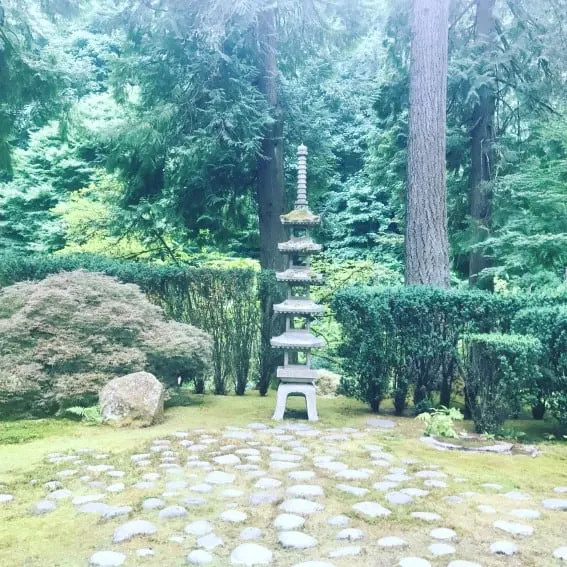Portland's Japanese Tea Garden