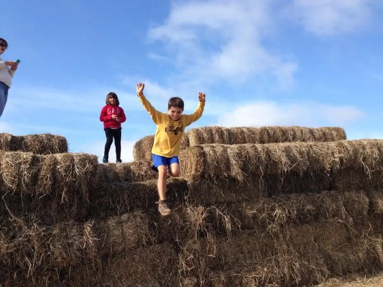 Half Moon Bay pumpkin patch