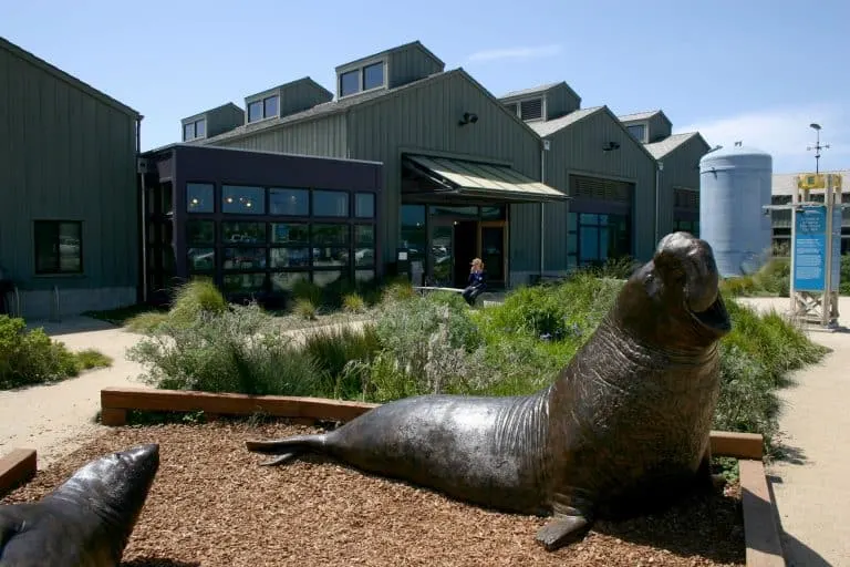 Things to do in Santa Cruz with kids - Seymour Marine Discovery Center 