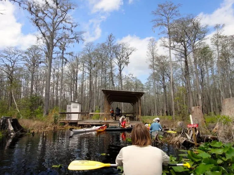 Kayaking in Georgia