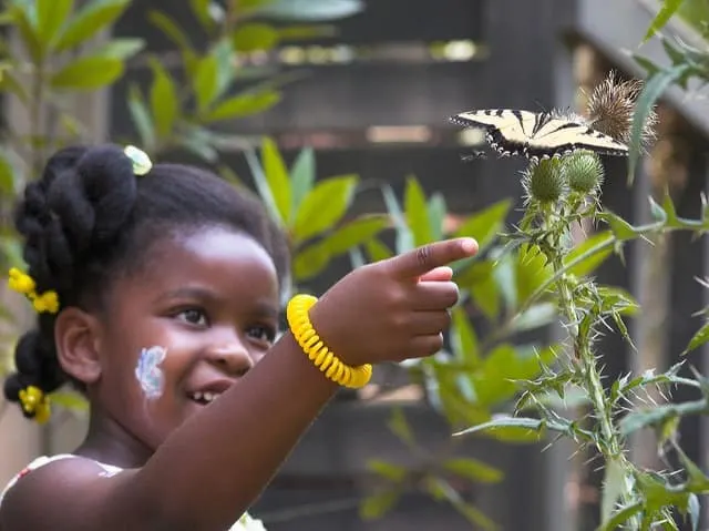 things to do in Atlanta with kids include the Chattahoochee Nature Center