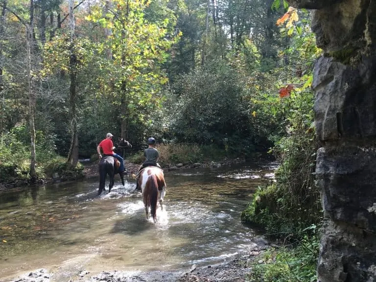 Horseback Riding Great Smoky Mountains National Park 