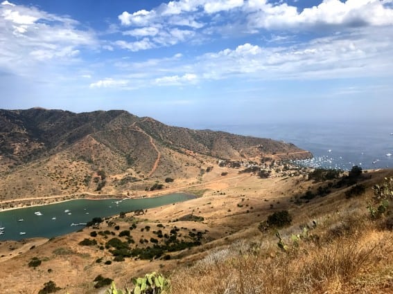 Two Harbors Catalina Island
