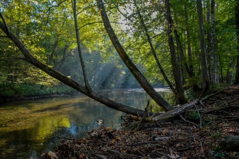 Places to go in North Carolina Great Smoky Mountains National Park