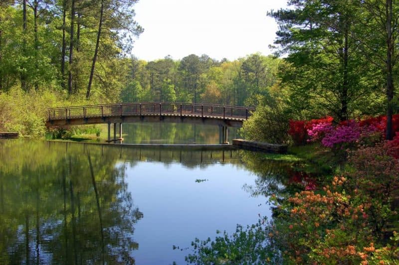 things-to-do-in-georgia-for-families-by-flickr-crescibene