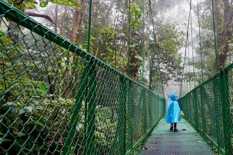 Monte Verde Cloud Forest Hanging Bridges