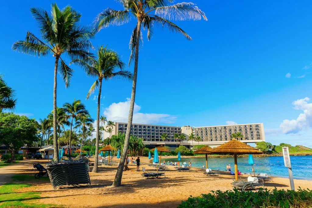 the best hotels for families in Oahu include the Turtle Bay Resort