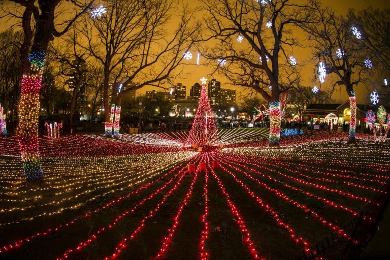 Best Spots for Christmas Lights in Chicago