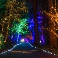 Best Christmas Lights in Portland, Oregon- 5 Not-to-Miss Holiday Light Shows