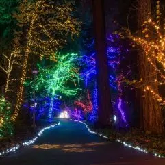 Best Christmas Lights in Portland, Oregon: 5 Not-to-Miss Holiday Light Shows