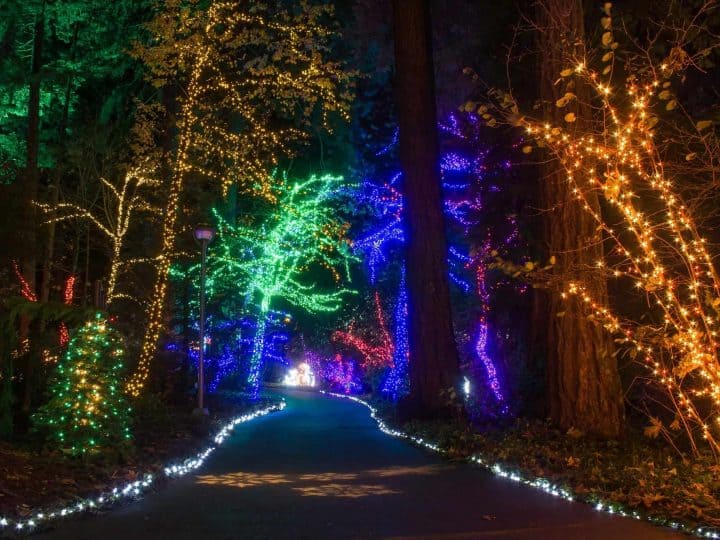 Best Christmas Lights in Portland, Oregon: 5 Not-to-Miss Holiday Light Shows