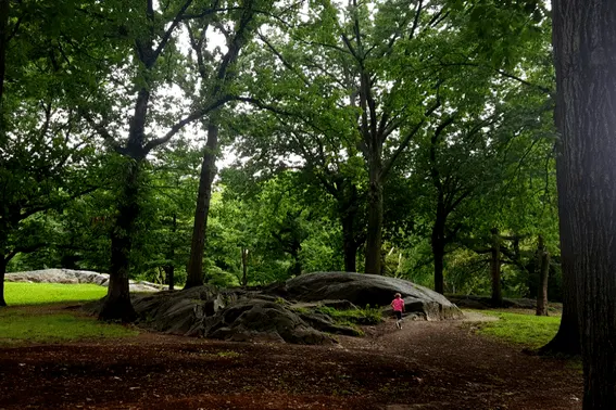 NYC Central Park_ Take a Walk