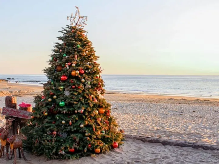Top-Holiday-Events-Southern-California-Christmas-Tree-Beach-by-Michelle-McCoy-2