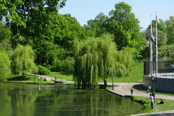 fishing in central park