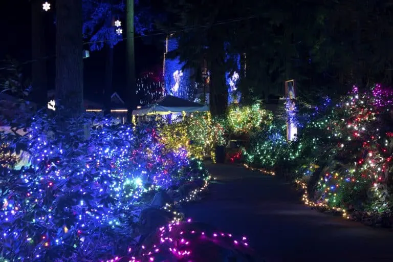 ron tonkin field christmas lights