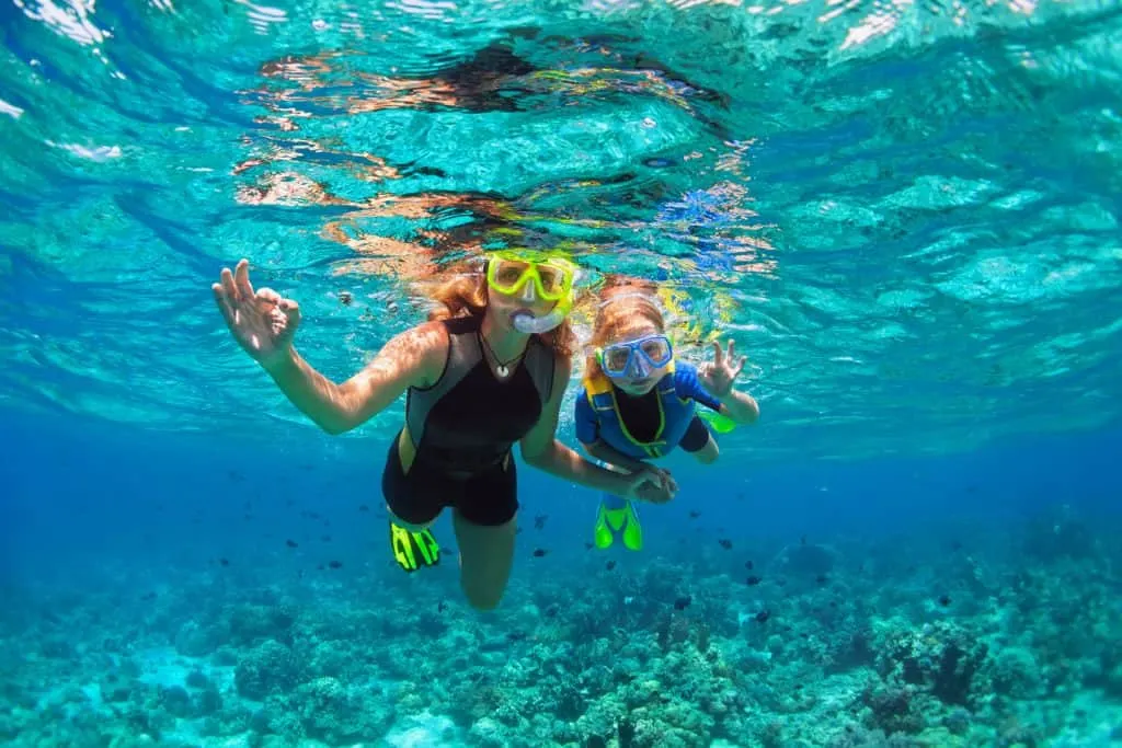 One of the most fun things to do in Hawaii is snorkel!