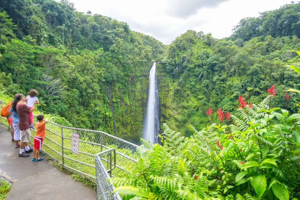 Hawaii with kids at Akaka Falls