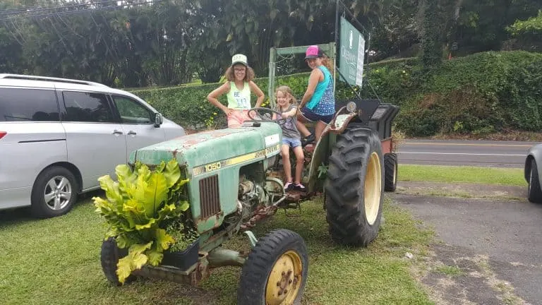 things to do on the big island with kids farm tours