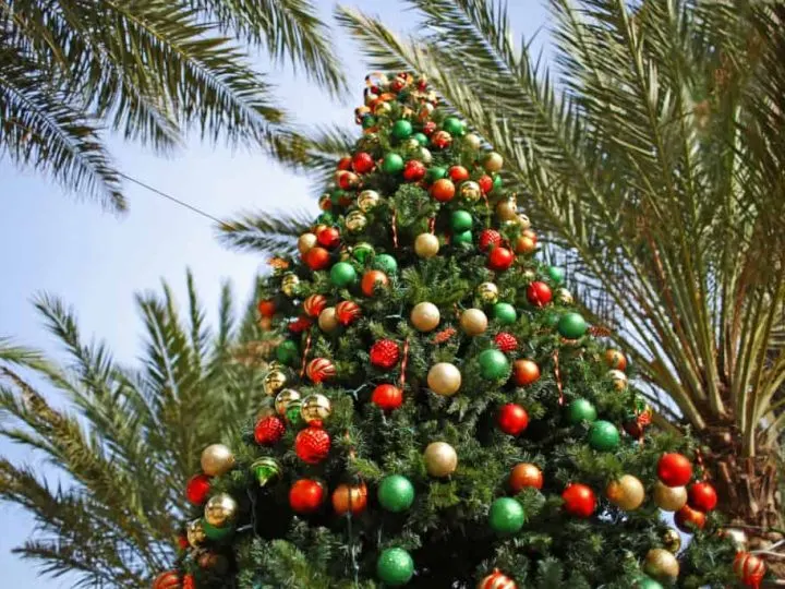 Christmas-San-Diego-Family-Kids-Tree-Palms-Shutterstock