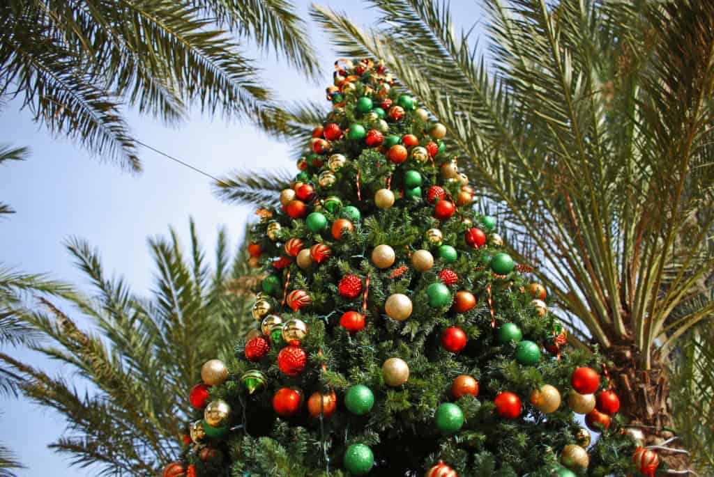 Free Christmas Programs San Diego 2022 Top Christmas Events In San Diego For Families In 2021