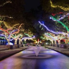 The Best Houston Christmas Events in 2024 for Families!