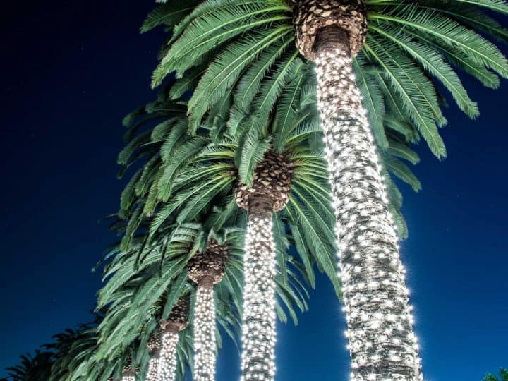 Palm-Springs-Christmas-Holiday-Family-Lights-Shutterstock
