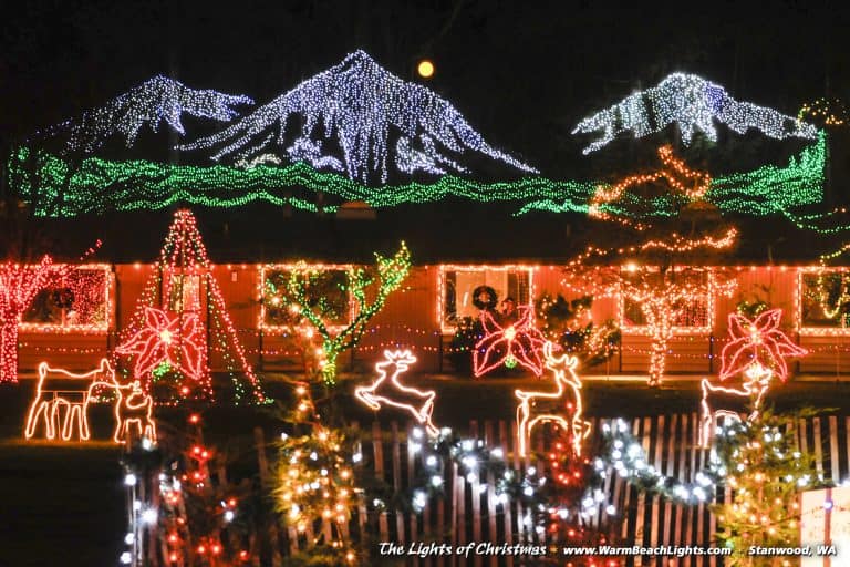 The Best Seattle Christmas Events for Families in 2022!