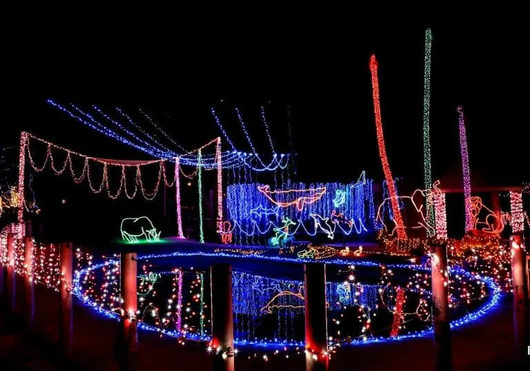 tucson christmas events zoo lights