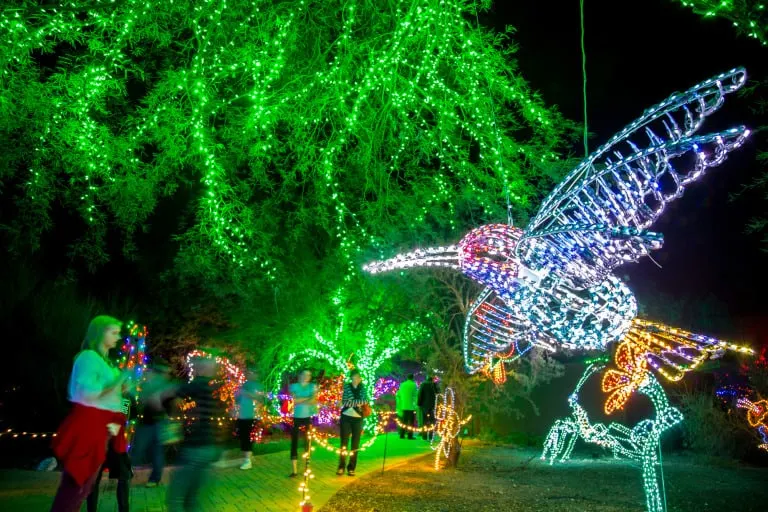 christmas in phoenix zoo lights