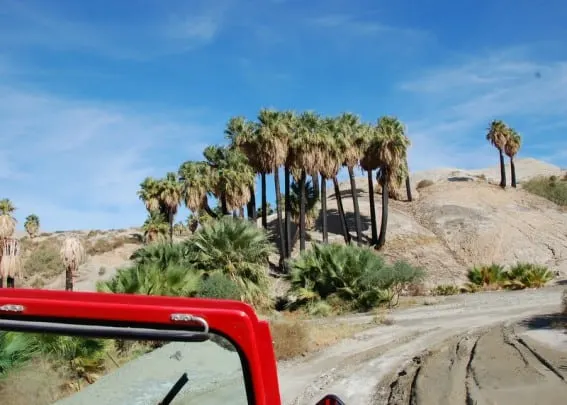 Take a red Jeep Tour on your Palm Springs family Vacation
