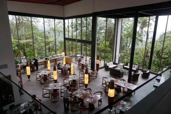 Mashpi Lodge: luxury meets adventure in Ecuador's cloud forest 4