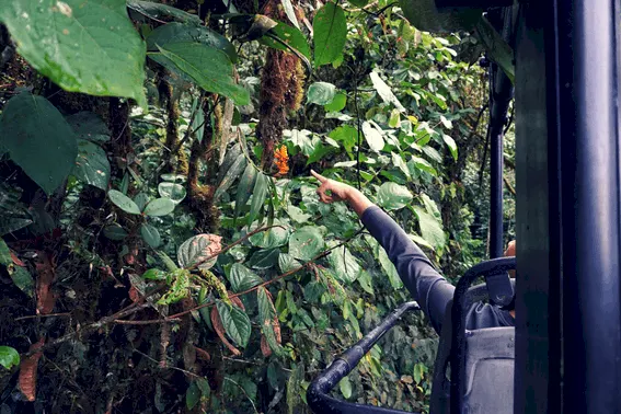 Mashpi Lodge: luxury meets adventure in Ecuador's cloud forest 11