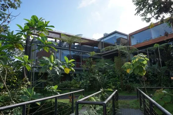 Mashpi Lodge: luxury meets adventure in Ecuador's cloud forest 5