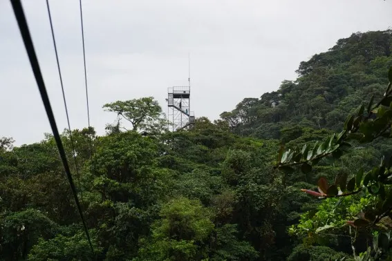 Mashpi Lodge: luxury meets adventure in Ecuador's cloud forest 2