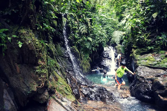 Mashpi Lodge: luxury meets adventure in Ecuador's cloud forest 13