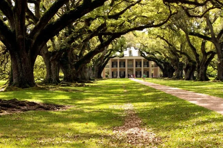 oak alley plantation things to do in new orleans with kids