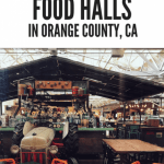 Orange County Food Halls that are Great for Traveling Families 1