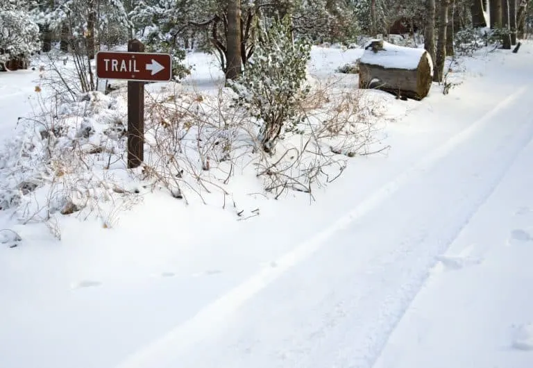 big bear snow hiking with kids