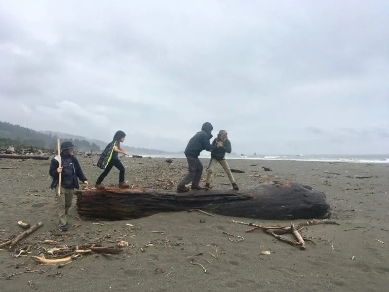 Jedediah-Smith-Redwoods-Crescent-City-Beach-By-Michelle-McCoy Redwood National Park with kids