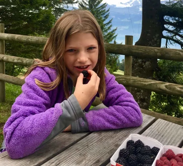 Lunch on Mount Rigi