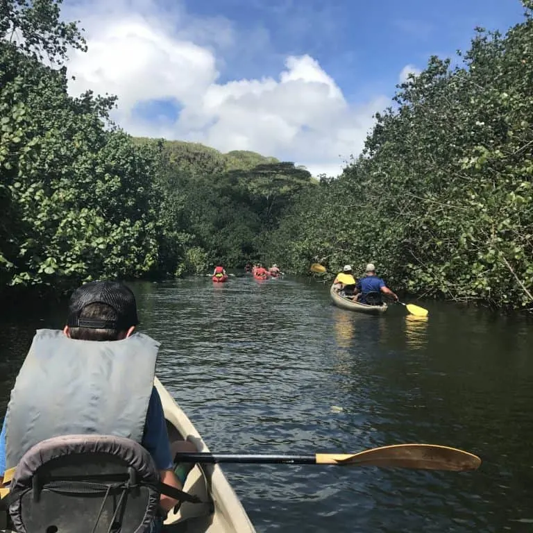 Kayaking the Wailua River Kauai