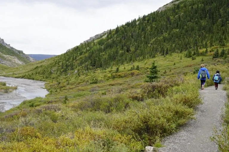 Hiking in Denali National Park