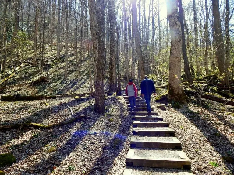 Trail in Great Smoky Mountains National Park 