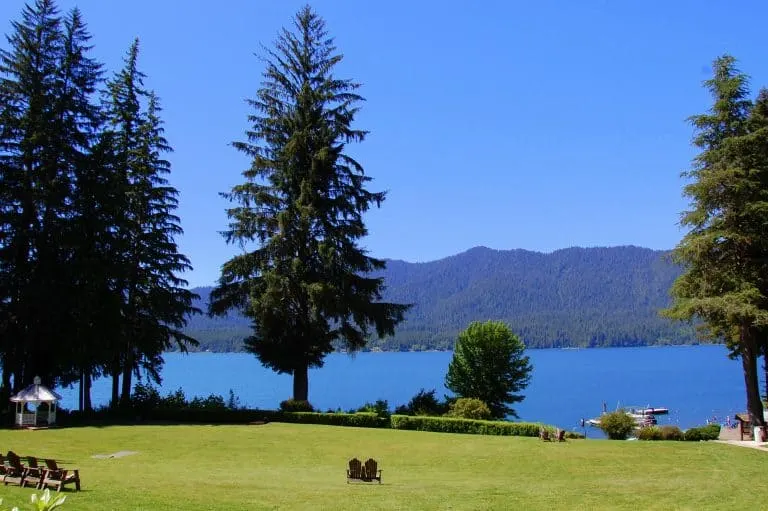 Things to do in Olympic National Park with kids include visiting the Quinault Rainforest