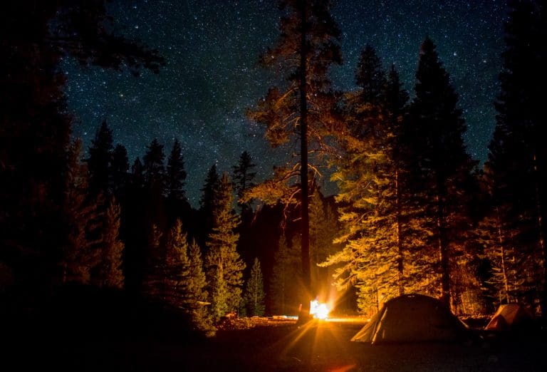 Things-to-do-in-Yosemite-national-park-with-kidsCamping-Stars