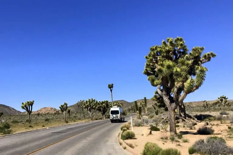 Joshua Tree National Park is a great place to visit