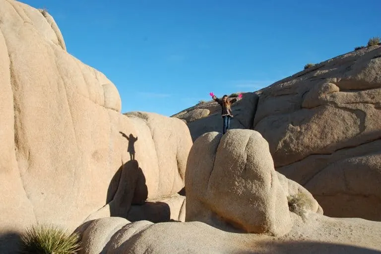 Desert national parks include Joshua Tree