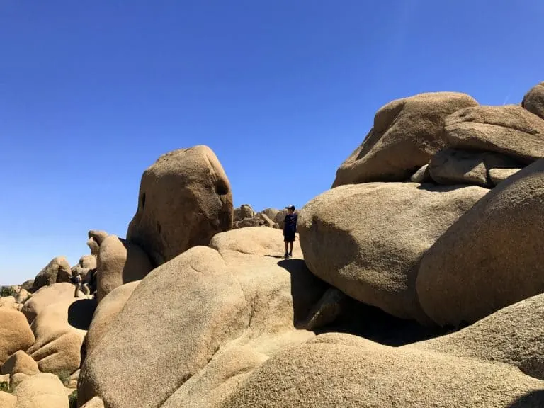 Visit Joshua Tree National Park's Hidden Valley