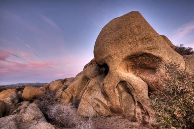 things to do in Joshua Tree with kids  include visiting Skull Rock